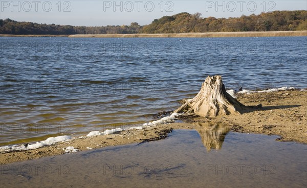 Benacre Broad lake is separated from the sea by the shingle beach bar of Benacre Ness, Suffolk,