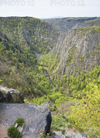 Deep gorge surrounded by forest and steep rock faces, view from the Hexentanzplatz Thale into the