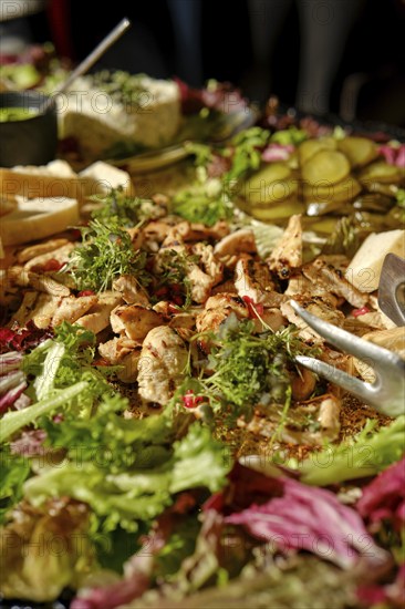 A colorful array of fresh ingredients features grilled chicken pieces, assorted leafy greens, and