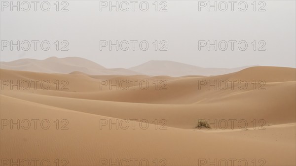 Sandstorm in the desert, dunes, Erg Chebbi, Sahara, Merzouga, Morocco, Africa