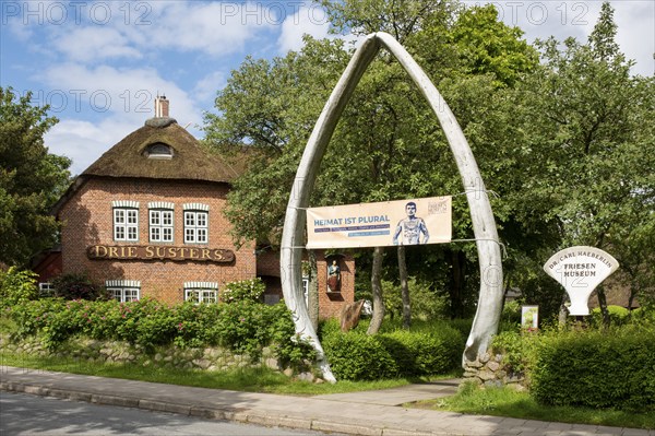 Friesen Museum, blue whale lower jaw, Wyk, Föhr, North Sea island, North Friesland,