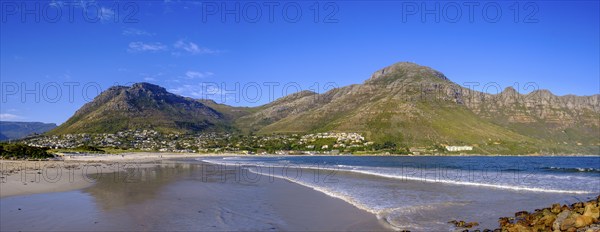 Hout Bay, near Cape Town, Cape Island, South Africa, Africa