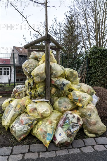 Yellow bags, stacked in a residential street, by a tree, waiting to be collected by a waste