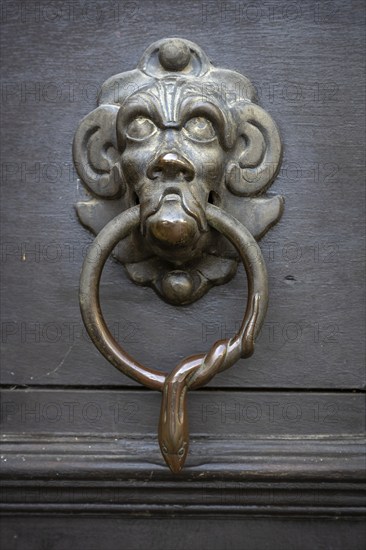 Lion's head, historical door knocker on a wooden door, Salem Castle, former imperial abbey, former