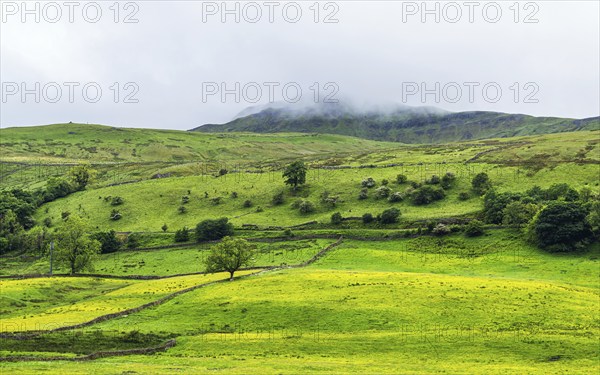 Farms in Yorkshire Dales National Park, North Yorkshire, England, United Kingdom, Europe