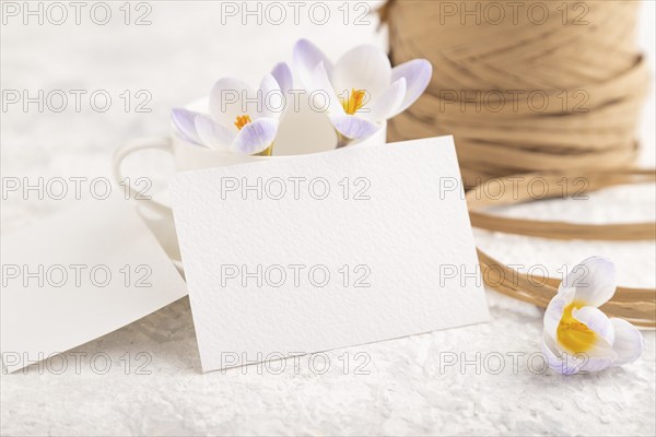 White paper invitation card, mockup with purple crocus snowdrop flowers on gray concrete background