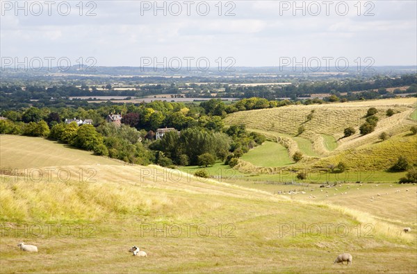 Ancient terraced fields known as strip lynchets cut into a chalk scarp slope at Bishopstone,
