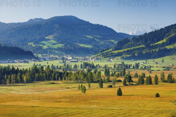 View over the Rothenthurm high moor with the village of Rothenthurm in the background, Schyz,