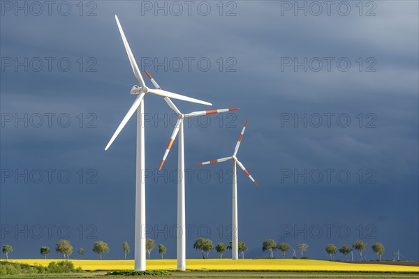 Wind turbines on a rape field, dark rain clouds, in the Rhenish lignite mining area, near