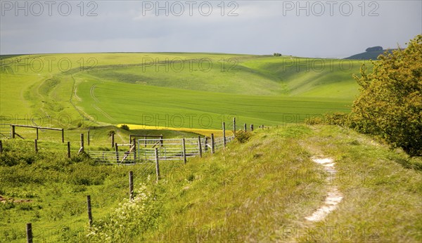 Ditch and embankment of the Wansdyke a Saxon defensive structure on All Cannings chalk downs near