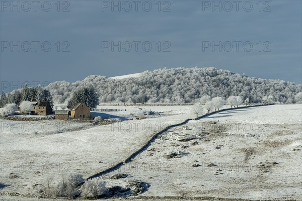 Aubrac plateau in winter. Lozere departement. Occitanie. France