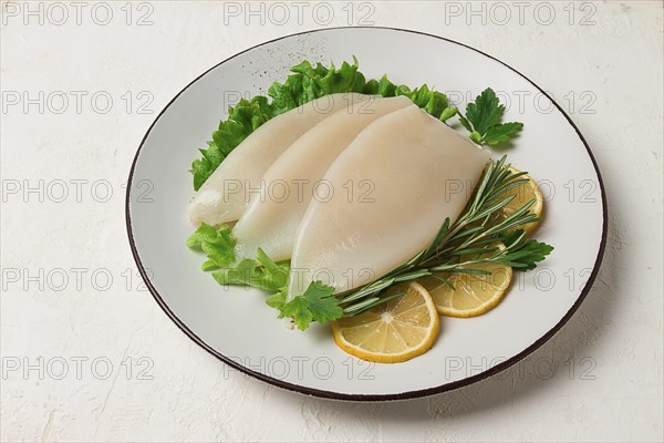 Fresh body, squid, raw, three carcasses, top view, no people, on a plate