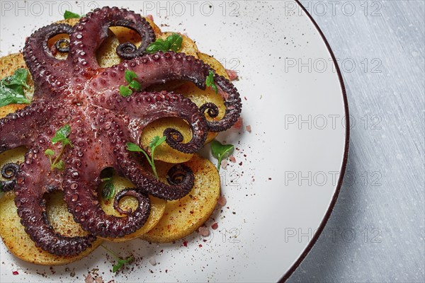 Octopus with potatoes and spices, on a light plate, top view, no people, homemade, close-up