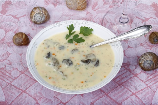Baden cuisine, snail soup, typical Baden, vineyard snail shell, snail shells, parsley, spoon, soup