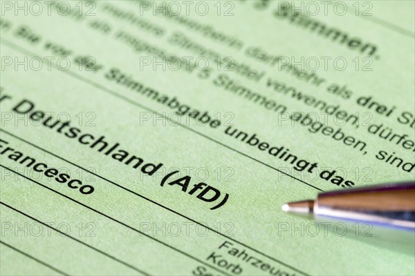 Official ballot papers, ballot papers, election matter, AFD, regional election, district council