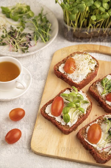 Red beet bread sandwiches with cream cheese, tomatoes and microgreen on gray concrete background.