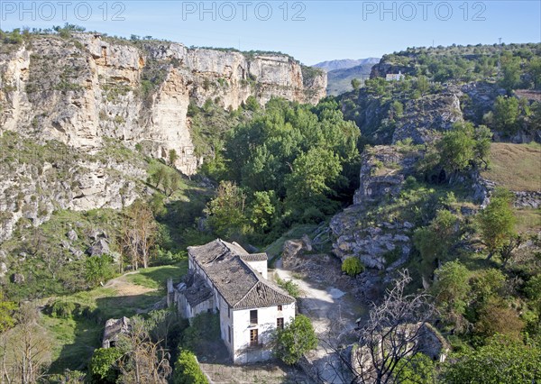 River Tajo limestone gorge cliffs, Alhama de Granada, Spain, Europe