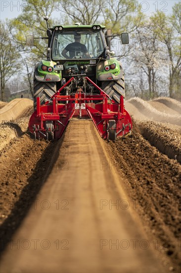 A farmer builds asparagus ridges on a field with the help of an asparagus tiller, in which the