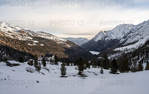 Zufallhütte mountain hut, morning light in a snow-covered mountain landscape, Val Martello, Ortler