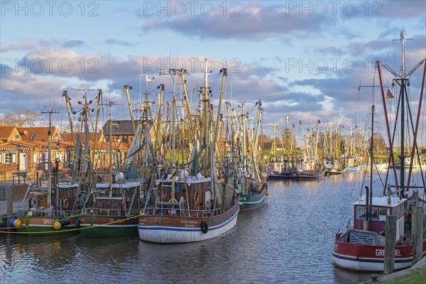 Crab cutter in the harbour of Greetsiel, the largest cutter fleet in East Frisia, Greetsiel, East