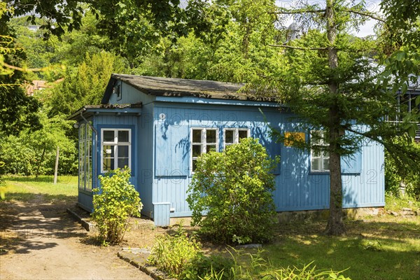 The Blue House, headquarters of the Elbhangfest e.V., Dresden Loschwitz, Dresden, Saxony, Germany,