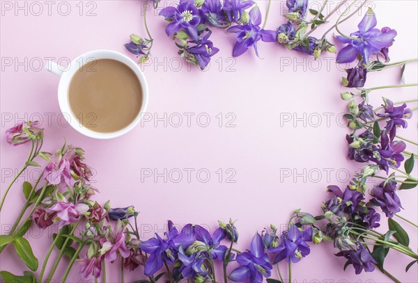 Pink and purple columbine flowers and a cup of coffee on pastel pink background. Morninig, spring,