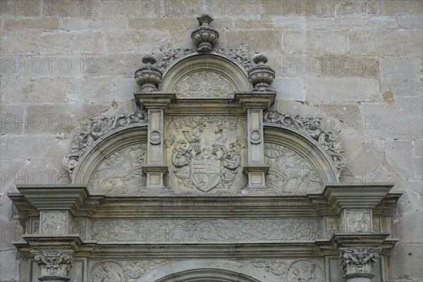 Detail above portal, coat of arms, relief, stone wall, masonry, Hohentübingen Castle, Museum of the