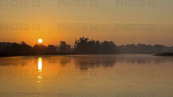 Foggy mood, sunrise on the Elbe, biotope, habitat, Elbe meadows, floodplain landscape, river