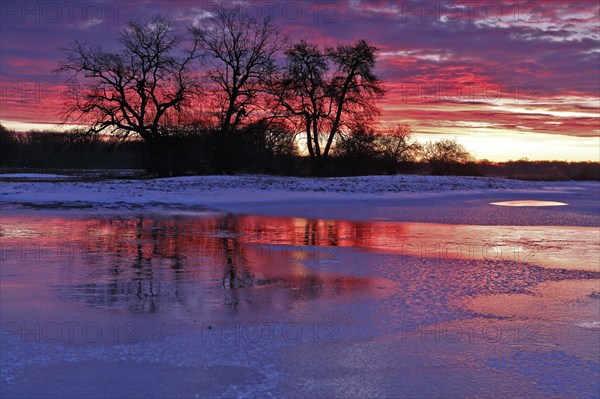 Winter floods 2024 on the Elbe and Mulde rivers with flooding of the meadows, ice on the meadows