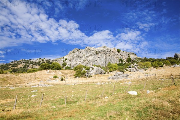 Landscape in Sierra de Grazalema natural park, Cadiz province, Spain, Europe