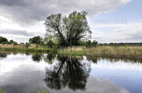 Unregulated natural course of the River Spree, 16 05 2023, Mönchwinkel