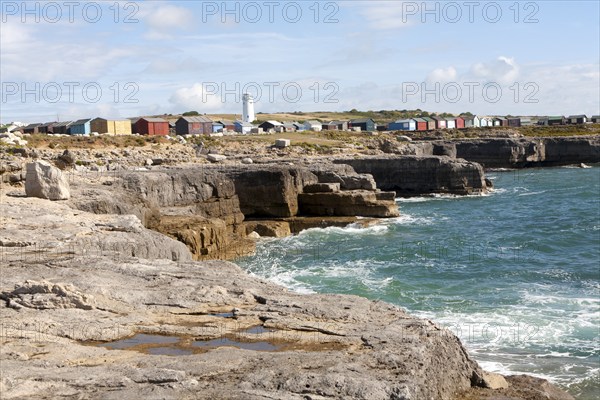 Old white lighthouse now a bird observatory and beach huts on the coast at Portland Bill, Isle of