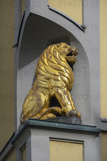 Gold-coloured lion, figure of the lion pharmacy, Kitzingen, Unterfarnken, Bavaria, Germany, Europe