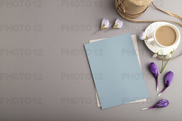 Blue paper sheet mockup with spring snowdrop crocus and galanthus flowers and cup of coffee on gray