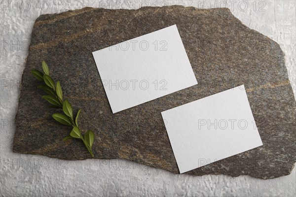 White paper business card, mockup with natural stone and boxwood branch on gray concrete background