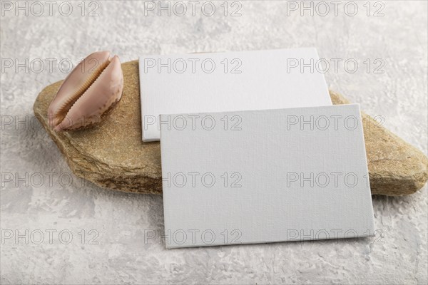 White paper business card, mockup with natural stone and seashell on gray concrete background.