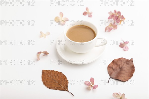 Composition with brown beech autumn leaves, hydrangea flowers and cup of coffee. mockup on white