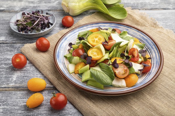 Vegetarian salad of pac choi cabbage, kiwi, tomatoes, kumquat, microgreen sprouts on gray wooden