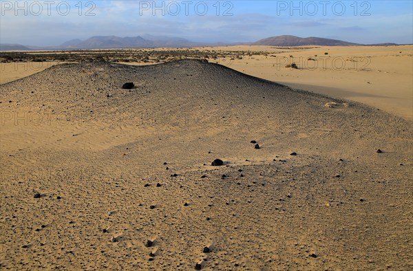 Sand dunes at Las Dunas natural park, Corralejo, Fuerteventura, Canary Islands, Spain, Europe