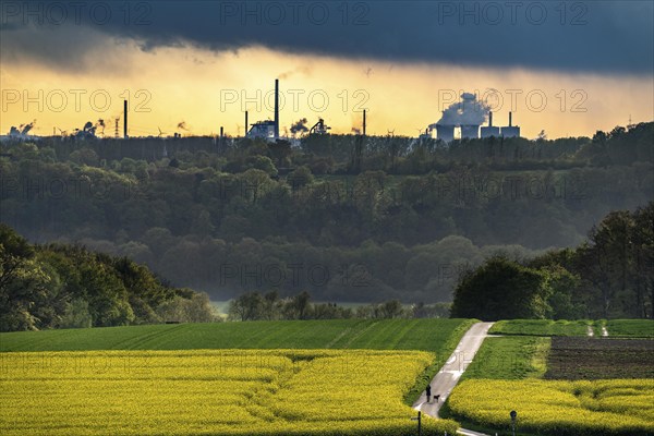 View over Mülheim an der Ruhr, Ickten, rape fields, over the Ruhr heights, to Duisburg-Hüttenheim,