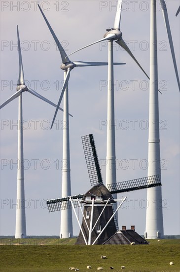 Westereems and Growind wind farms, over 80 wind turbines in total, at the Eemshaven seaport,
