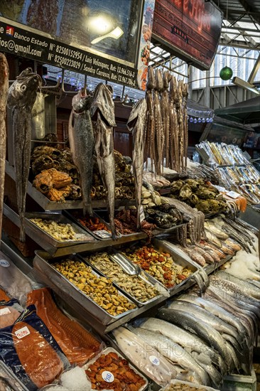 Angelmo Fish Market, Puerto Montt, Chile, South America