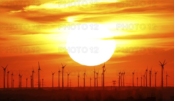 Sunset at a wind farm in Nauen in Brandenburg, 23/08/2022