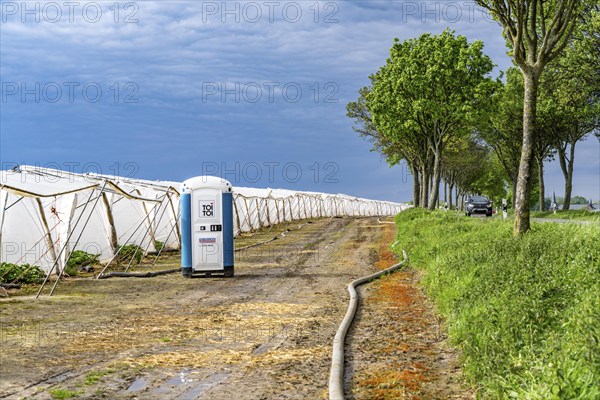 Agriculture, large areas with foil tunnel, for the cultivation of strawberries, south of Lövenich,