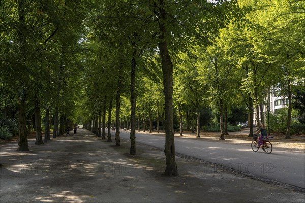 The Jägerhofallee in the Hofgarten, the central municipal park in Düsseldorf, North