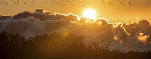 Evening mood, clouds over cloud forest, mountain rainforest, Parque Nacional Los Quetzales, Costa