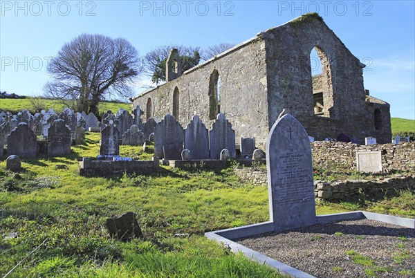Seventeenth century Kilcredan church ruins and graveyard, County Cork, Ireland, Europe