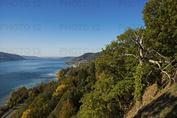 Sipplingen, Lake Constance, Baden-Württemberg, Germany, Europe