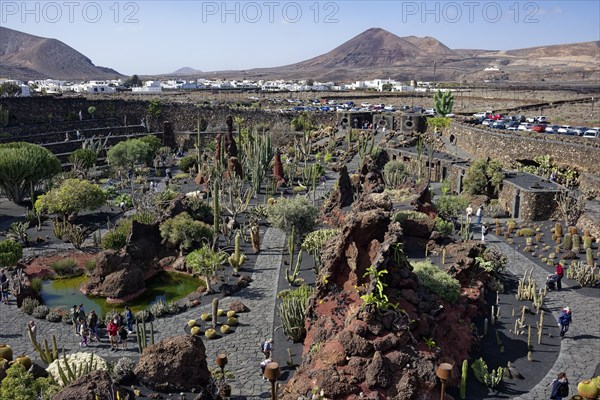 Cactus garden, Jardin de Cactus, designed by the artist César Manrique, Lanzarote, Canary Islands,