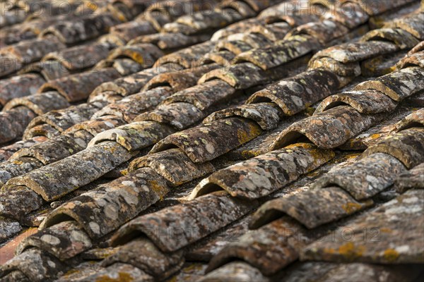 Old roof tiles, roof, old, moss, texture, background, graphic, building, dilapidated, surface,